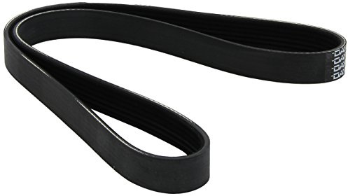 Metzger 6PK1013 DAYCO Keilrippenriemen, schwarz / weiß | 6PK1013 für Voyager Jumper Escort
