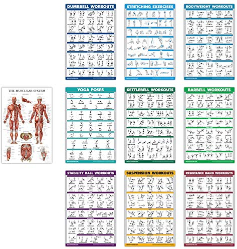 QUICKFIT 10 Pack - Exercise Workout Poster Set - Dumbbell, Suspension, Kettlebell, Resistance Bands, Stretching, Bodyweight, Barbell, Yoga Poses, Exercise Ball, Muscular System Chart - (18 x 27)