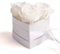 ROSEMARIE SCHULZ Heidelberg Infinity Rosen Rosenbox Herz - 10 x 12 cm 3 konservierte weiße Rosen haltbar 3 Jahre - Valentinstag für Frau Ich Liebe (Weiß, Small)