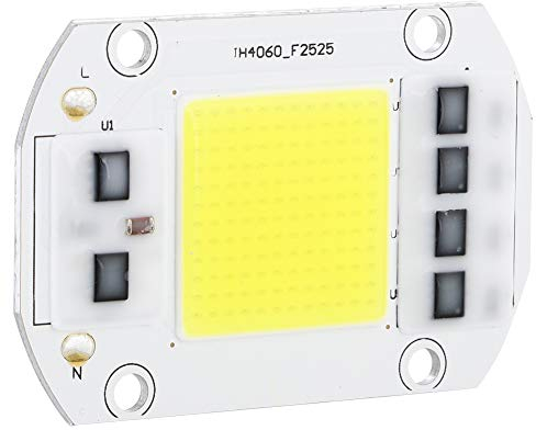 100W 220V frío Chip de LED de Alta Potencia Fuente de luz COB de Alto Voltaje Accesorios de iluminación para Uso en Interiores y Exteriores