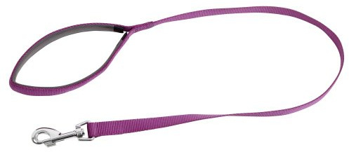 Kerbl Pet Hundeleine Miami mit Softgriff | Lila, 100 × 2 cm, robuste Nylonleine mit weichem Griff, wasser- und schmutzabweisend