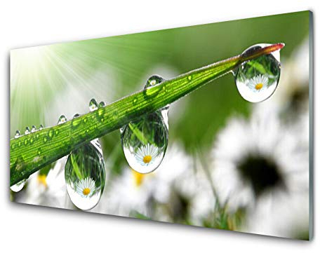 Tulup Glasbilder 100x50cm - Wandbild Druck auf Glas XXL Panorama-Bild Wandbilder aus Echt-Glas Sicherheitsglas Kunstdruck für Küche Wohnzimmer Gras Tautropfen Natur