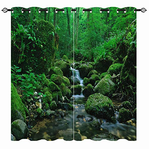 YUANZU Wasserfall-Vorhänge, Wald, Dschungel, Wilde Natur, Thema, Berg, Bachlauf, Landschaft, gemusterte Öse, wärmeisoliert, Verdunkelungsvorhänge für Schlafzimmer, 2 Paneele, B 117 cm x T 137 cm