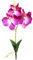 WOTEG Phalaenopsis artificielle - petite fleur de simulation de phalaenopsis - Orchidées artificielles - Plantes à tige pour la décoration de la maison - Branche de phalaenopsis artificielle au