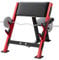 VEVOR Preacher Curl Bank Krafttrainingsbänke (Max. Belastung 300 kg), Fitnessgerät für das Heim-Fitnessstudio, isolierte Langhantelsstation Bizepsstation mit sitzendem Arm, verstellbare Hantelbank