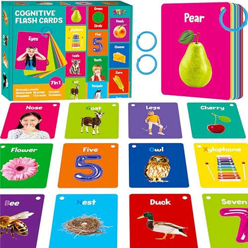 50 Lernkarten für das frühe Lernen, 7-in-1-Doppelkarten – Alphabet, Zahlen, Lebensmittel, Tiere, Formen, Farben mit 2 wiederverschließbaren Ringen, Lernhilfe für Kleinkinder