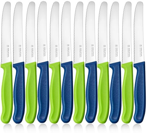 targzier Frühstücksmesser Set 12 Stück, Edelstahl Tafelmesser,Langlebiges Brotmesser,Kunststoffgriff Tomatenmesser Wellenschlif,Bunt Brotzeitmesser,Scharf Messer,Blau und Grün Schneidemesser
