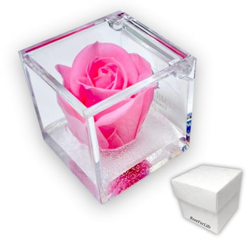 OneFlower by PREMIUM-ROSE Cubo Rosa Stabilizzata 5 cm profumata con Base scaglie di Marmo Bianco di Carrara, Idea regalo per ragazze, bomboniera bambina, bomboniera Femmina - Rosa 1055