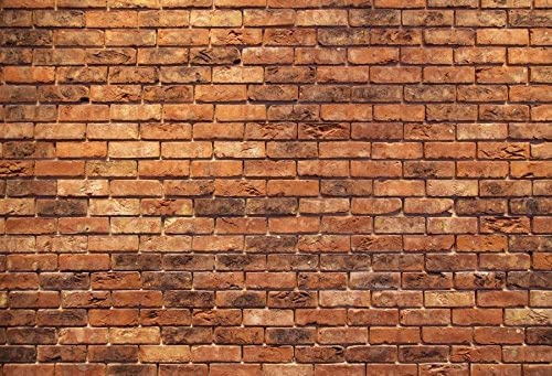 Renaiss 9x6ft Vintage Brown Brick Wall Backdrop Retro Brick Professional Photography Background Newborn Baby Adult Portrait Wallpaper Party Banner Photo Video Shooting Studio Props
