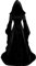 Generisch Damen Maleficent Kostüm Langarm mit Kapuze Mittelalter Kleid Bodenlang Schnürkleid Hexenkleid Cosplay Gothic Mittelalter Kleidung Renaissance Halloween Party Kostüm Karneval Faschingkostüm