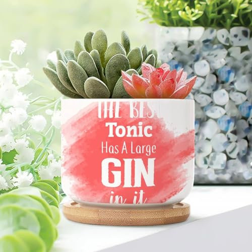 Yelolyio The Best Tonic Has A Large Gin In It Planters Ceramic Saying Quote Round Plant Pot With Drainage Holes And Bamboo Tray Pot For Succulents Cactus Garden Windowsill