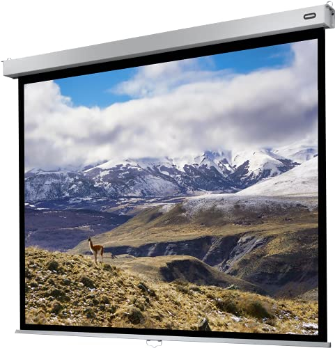 celexon Professional Plus Rollo-Leinwand 80 | 160x120 cm 4:3 | manuell ausziehbare 4K, Full-HD Beamer-Leinwand für Büro-Präsentationen & Heimkino-Projektionen | Wand- & Deckenmontage