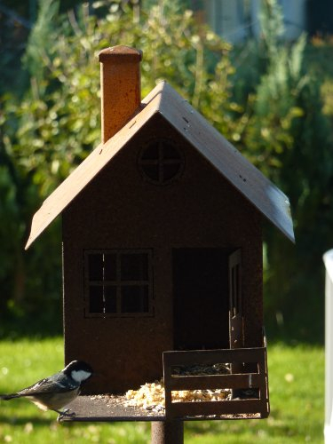 Albert Hechinger Edelrost Vogelhaus Berghütte