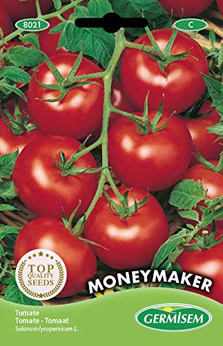 Germisem Moneymacker Semillas de Tomate 1.5 g (EC8021)