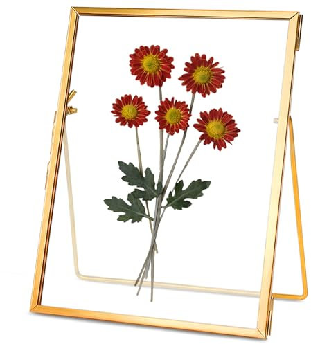 REDHUGO Cadres de fleurs pressées, cadres flottants en verre pour afficher des images de spécimens de plantes séchées, cadre photo en laiton suspendu avec chaîne, double vitrage transparent, Rectangle