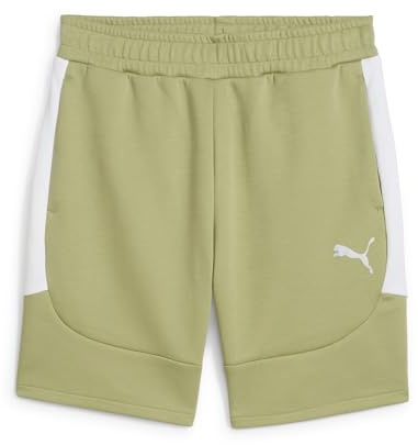 Puma Herren Strick-Shorts Teamevostripe Shorts