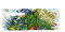 I LIKE PAPER – WILD Flowers – Pappwallet/Portemonnaie/Geldbörse aus Tyvek® - mit Reißverschluss für Münzgeld - 3 Kreditkartenfächer, Dokumentenfach - reissfest - wasserabweisend - Made in Germany