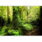 murando - Papier peint panoramique paysage 350x256 cm - Revêtement mural décoration pour chambre salon - Design moderne - Jaune gris vert - Des arbres forêt feuilles nature plantes c-B-0537-a-a