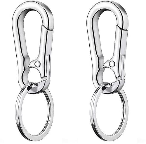 LABUYI 2Pcs Key Ring,Keyring Clip,Carabiner Keyring,Metal Keychain Carabiner Clip,Keyrings & keychains,Small Carabiner Clips,Portable Key Chain With Mountaineering Buckle,for Men Women,Silver
