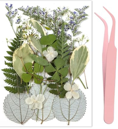 MYGLOAR 21 pezzi di esemplari di piante a foglie pressate a secco, petali di foglie miste, vera decorazione naturale fai-da-te in resina a foglie secche naturali, ornamenti, con 1 pinzetta