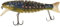 DAM effzett viper 165mm | 55gr | floating | swimbait Smolt