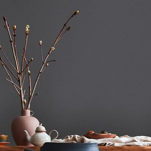 A.S. Création Unitapete Schwarz - Livingwalls House of Turnowsky 389029 - Einfarbige Tapete Vliestapete - 10,05 m x 0,53 m Made in Germany