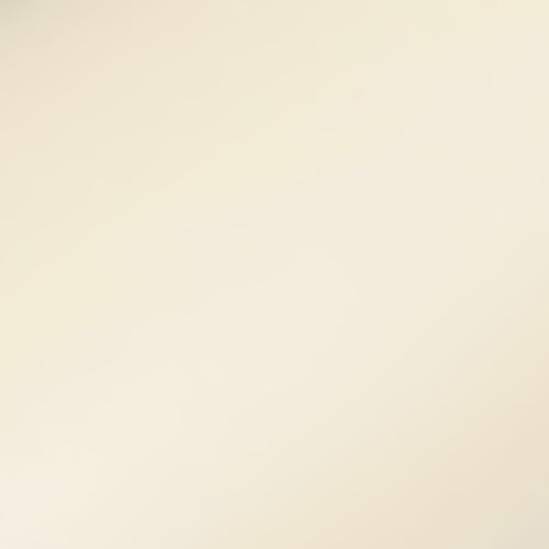DecoMeister Vinilo Adhesivo Color Beige Mate Para Muebles Papel Autoadhesivo Para Cocina Puertas Armario Mesa Pared Pegatina Para Forrar Lámina Decorativa de PVC En Rollo 45 x 50 cm