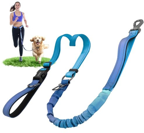 DAISTERN 6-in-1 Joggingleine Hunde, Freihandleine Elastisch Ruckdämpfend Reflektierend mit 360°Drehbarer Verriegelungskarabiner, Verstellbarer Hüftgurt für Mittelgroße und Große Hunde Blau