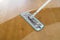 The Home Valet Company 3 in 1 Mop -Scrub-Squeegee! Microfiber Smart Mop use wet or dry