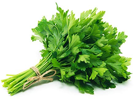 Koriandersamen zum Anpflanzen im Freien GVO frei Uralte Bio-Samen - Hohe Keimung Hoher Ertrag Super lecker