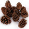 JOHOUSE 8,9-12,7 cm natürliche Tannenzapfen, große Tannenzapfen, Weihnachtsdekoration, große Tannenzapfen für Herbst- und Winterdekoration, Weihnachtsdekoration