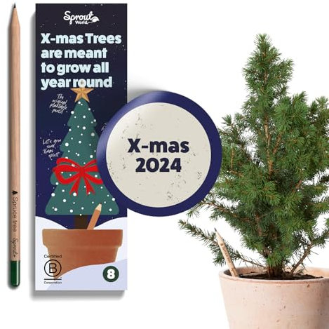 SproutWorld Plantable Bleistifte | Xmas Edition | Holzgehäuse | vorgespitzt | HB Holzstifte mit Sortiment von Wintersamen, Weihnachtsstrumpffüller | 8 Stück