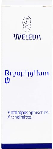 BRYOPHYLLUM Urtinktur 50 ml