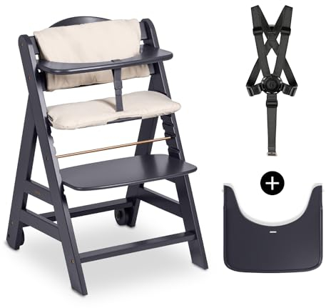 hauck Beta+, Grigio Scuro - Kit Seggiolone Pappa con Ruote, Vassoio, Barra Protettiva, Cuscino di Seduta, Cintura a 5 Punti e Cinturina Inguinale - per Bambini 6 Mesi fino a 90 kg - Legno di Faggio