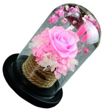 RORPOIR Schöne Bescherun Schönes Geschenk Konserviertes Rosengeschenk Kuppel Erhaltene Geschenkbox Rose Erhaltene Rosenkuppel Shöne Bescherung Schöne Bescherung Merch