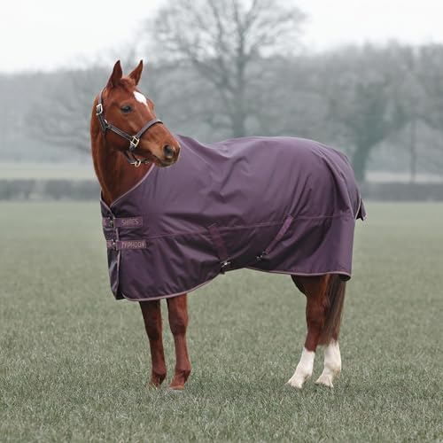 Shires Typhoon 100 Turnout Rug - Black Cherry