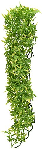 Zoo Med BU-35 Bolivian Croton, Large
