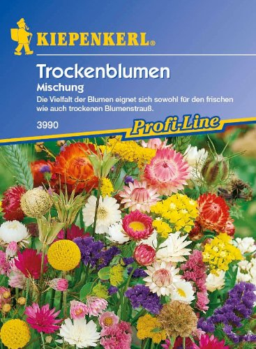 Trockenblumen, 'Mischung'