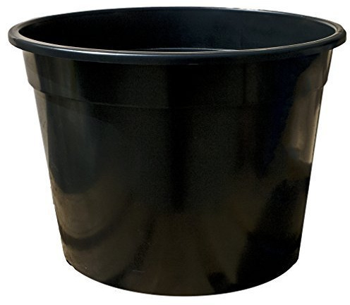 Elixir Gardens Large Plant Pot Tree Shrub Recycled Plastic Planter Pots Container with Optional Saucers | Various quantities available (from 1 to 10) 60L x 2