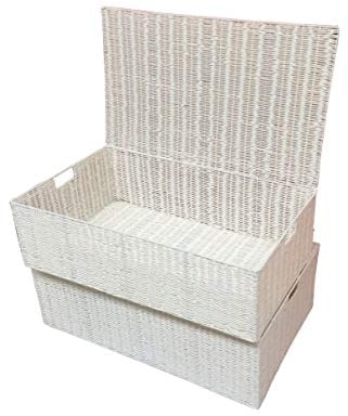 ARPAN Resin Woven Under Bed Storage Box, Chest Shelf Toy Clothes Basket With Lid - White (Set of 2 - Medium Baskets)