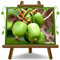 EURO PLANTS VIVAI Actinidia – Kiwi Arguta var. Issai autofertile su Vaso: ø 20 cm. - *Altezza: 150-170 cm. - Età: 2 anni.