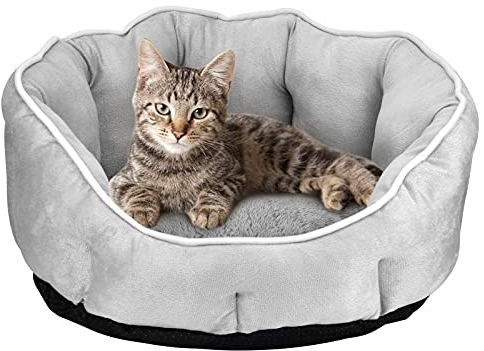 Queta Hundebett, Katzenbett Hundesofa Hundekissen Plüsch Weich Haustierbett für klein Katzen und Hunde, 46 * 46 * 23cm (Grau)