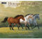 Horses in the Mist Wandkalender 2024