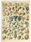 MyPuzzle Fructus - Früchte für alle, Vintage Art Poster, Adolphe Millot - Premium 500 Teile Puzzle - MyPuzzle Sonderkollektion von Havana Puzzle Company