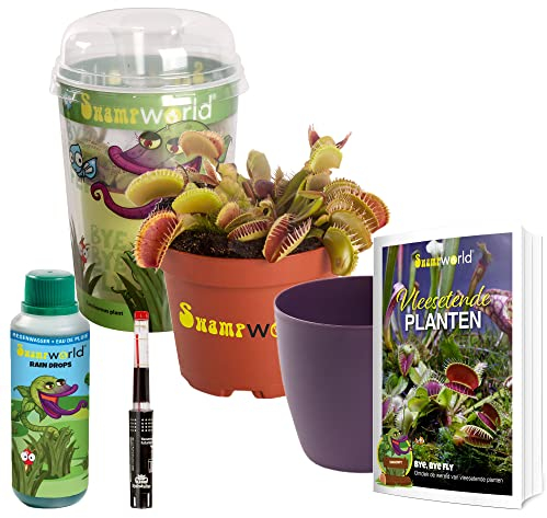 vdvelde.com - Swampworld Änfanger Venusfliegenfall Set - Fleischfressende Pflanze Inkl. Wassermesser, 250ml Raindrops, Übertopf und Fleischfressende Pflanzen Buch - Topf Ø9 cm, Pflanzehöhe: 10-20 cm
