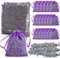 CaiTang Flores de Lavanda Secas, 120G+20 Bolsitas de Organza, Lavanda a Granel para Bolsita de Lavanda Perfumada, Bolsitas Lavanda Adecuado para Armarios, Coches, Aroma Armario