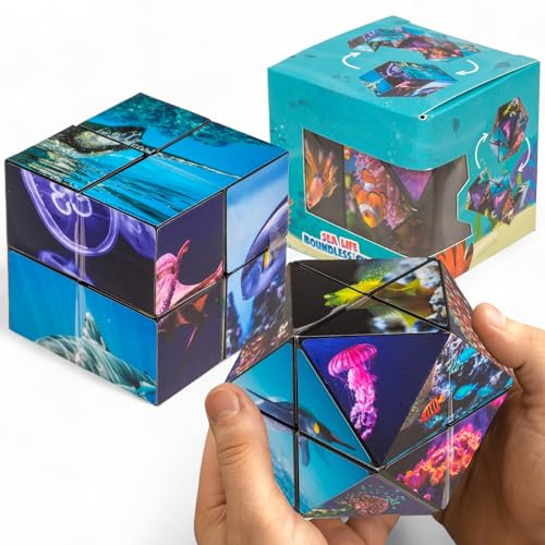 MIJOMA Infinity Cube – Endloswürfel mit spannenden Motiven | Fidget Spielzeug gegen Stress & Langeweile | Klappwürfel für Kinder & Erwachsene | 5,5 cm (Meereswelt)