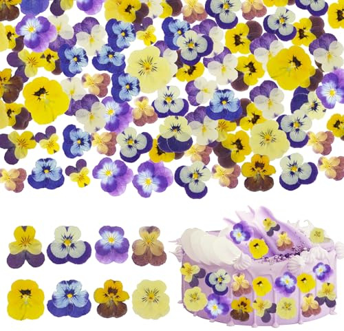96 Pcs Natural Dried Pressed Mix Viola Tricolor Flowers, 8 Varieties of Pansy Dried Flowers for Decorating Cake, Cupcake, Cocktail Garnish, Crafting Resin Jewellery, and DIY Crafts (Colour Two)