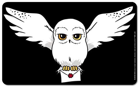 Logoshirt® Harry Potter I Hedwig I Eule I Brief I Frühstücksbrettchen I Schneidebrett I 23x14cm I spülmaschinenfest & hitzebeständig I Lizenziertes Originaldesign