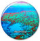 Australien Great Barrier Reef Kühlschrank Magnete Dekorative Magnet Flaschenöffner Tourist City Travel Souvenir Collection Geschenk Starker Kühlschrank Aufkleber